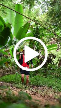 BIB:  <button type="button" onclick="openModal(26823343)" class="btn btn-primary btn-sm float-right" data-toggle="modal" data-target=".modal-high-quality">
                <i class="fa fa-download"></i> Download
                </button>